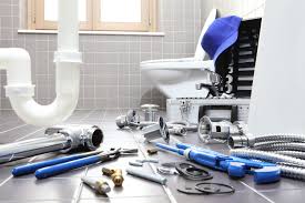 Best Plumbing System Maintenance  in Phoenix, IL